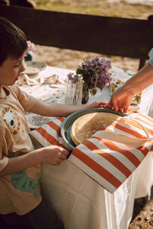 Cake Carrier Bag- Pumpkin Stripes